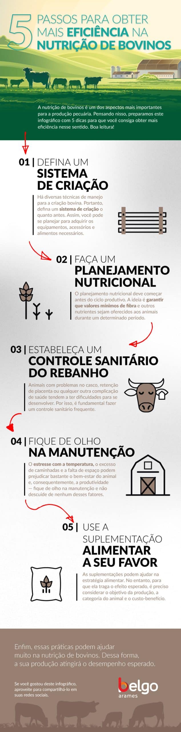 infográfico: 5 passos para obter mais eficiencia na nutrição de bovinos