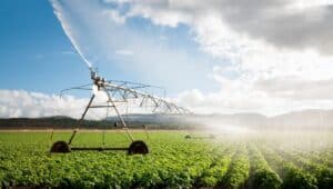 Conheça os tipos de sistema de irrigação e como escolher o ideal