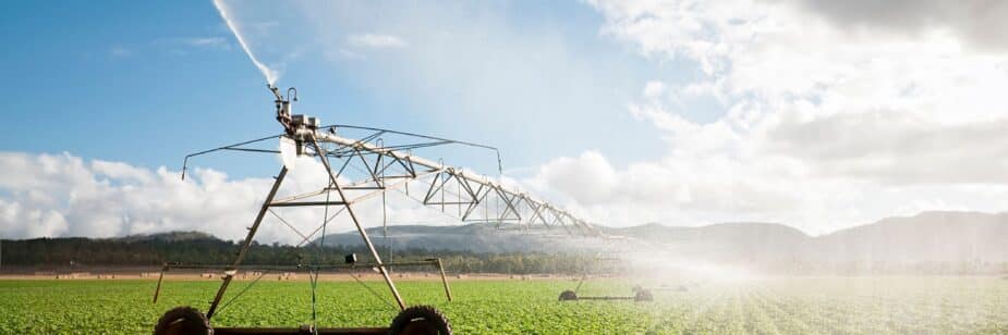 Conheça os tipos de sistema de irrigação e como escolher o ideal